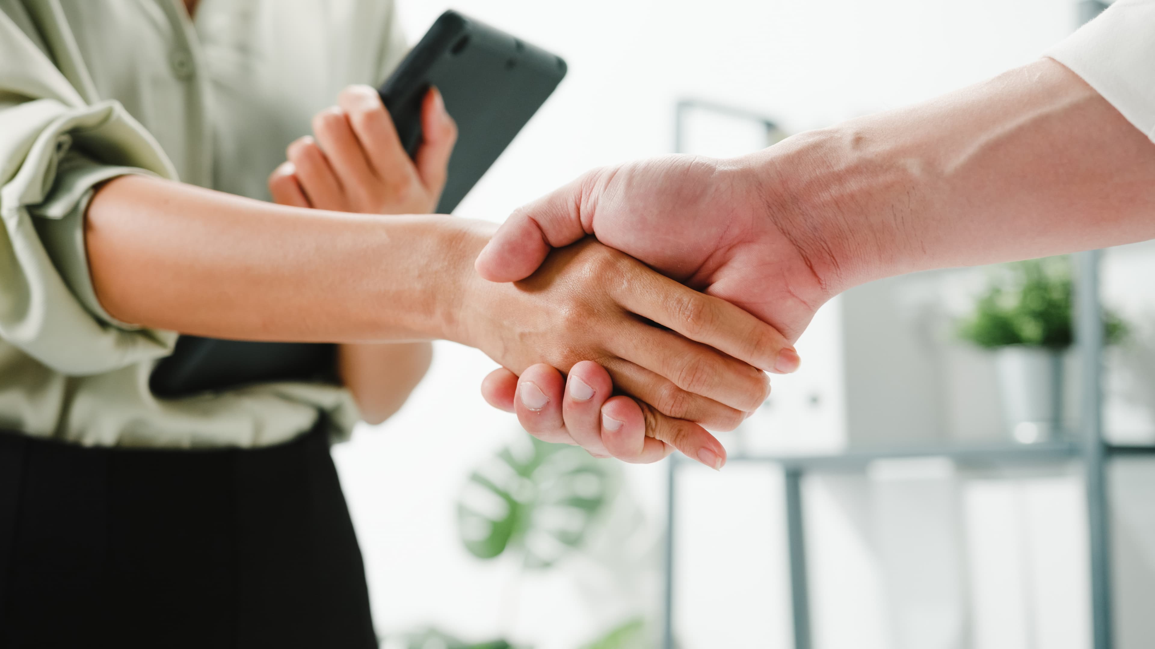 Business Handshake
